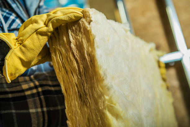 Best Insulation Contractors for Homes  in Needles, CA