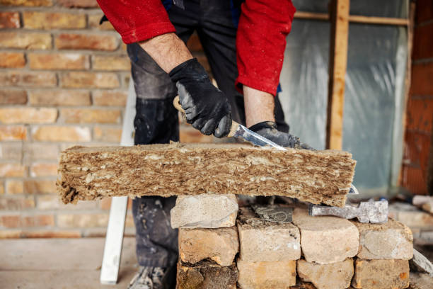 Best Insulation Removal  in Needles, CA
